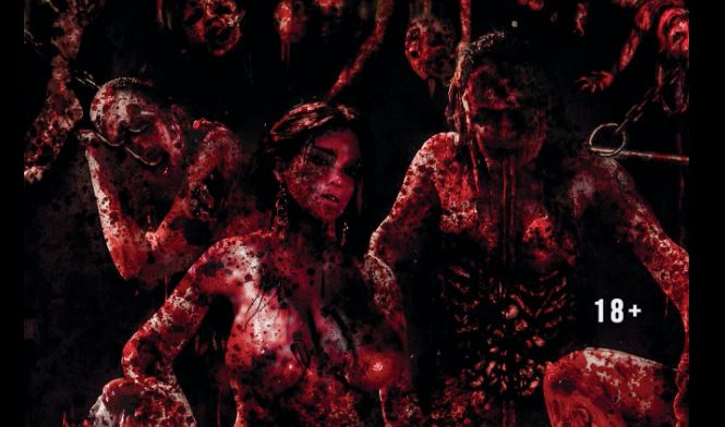 DOM ZE SKÓRY. autorzy: Tomasz Czarny i Michał Ferek